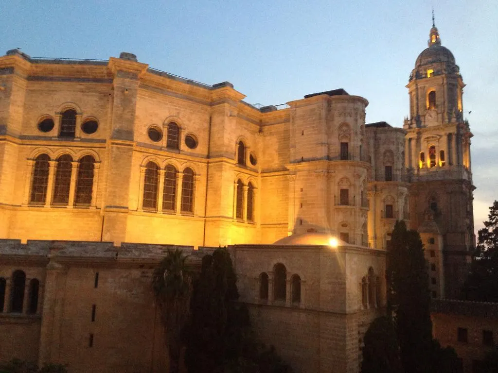 Atico Cister Frente A Catedral contacts